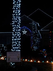 yARD OF mONTH dECEMBER 2013